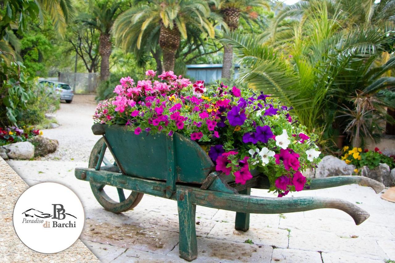 Agriturismo Paradiso Di Barchi Terracina Kültér fotó