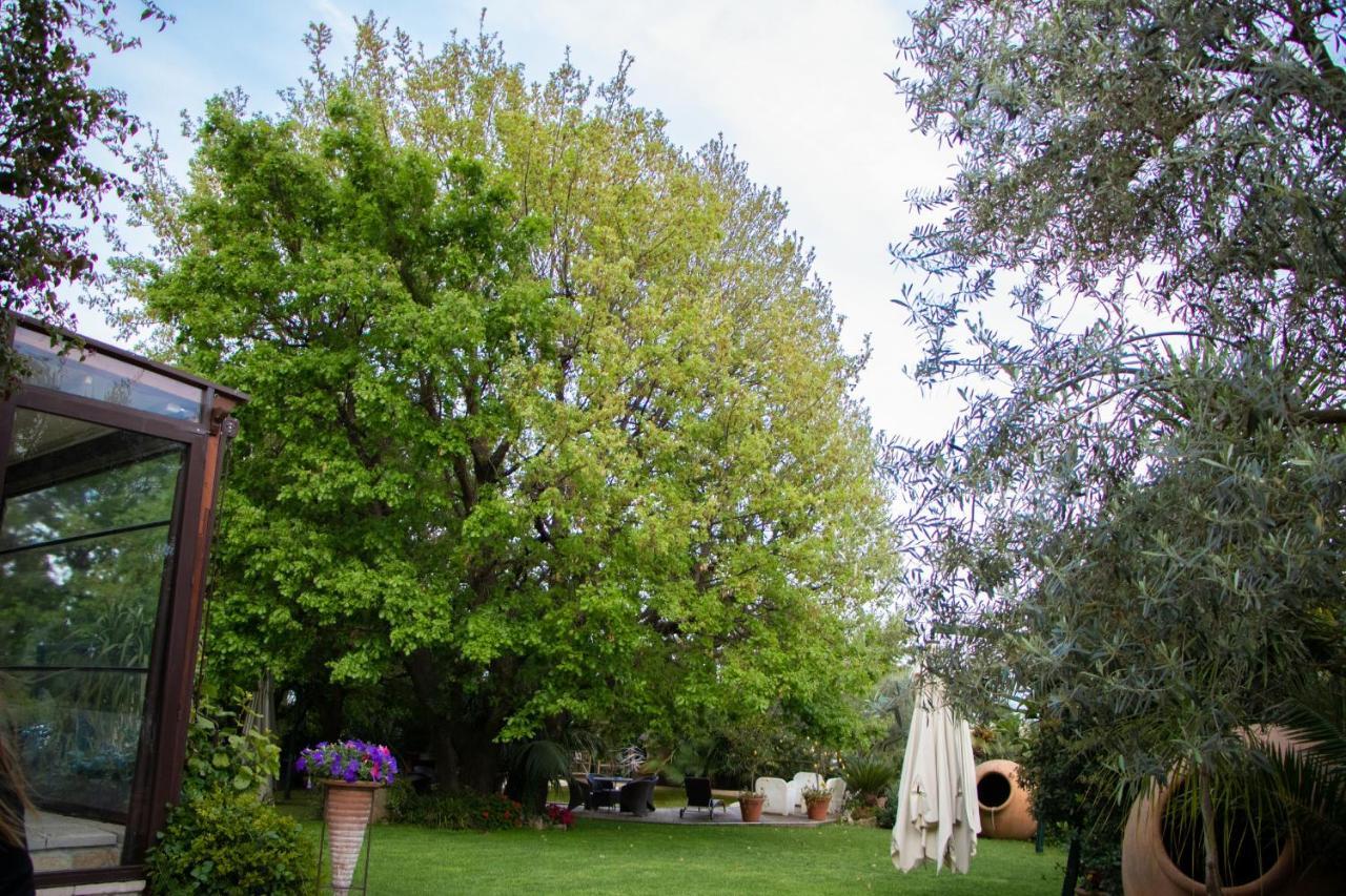 Agriturismo Paradiso Di Barchi Terracina Kültér fotó